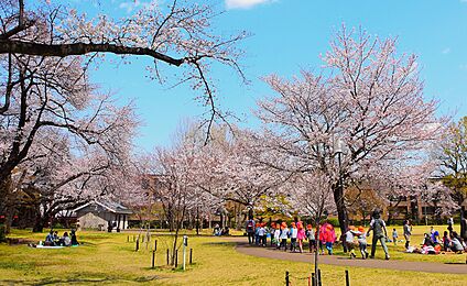 柏の宮公園 約260m(徒歩4分)