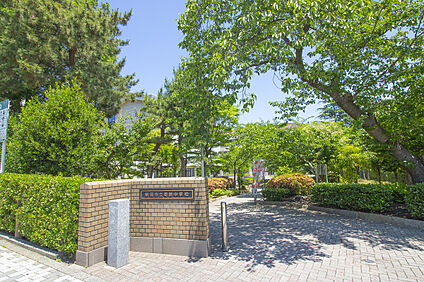 寄居中学校 550m(徒歩7分)