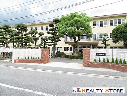 福岡市立金武中学校 1800m