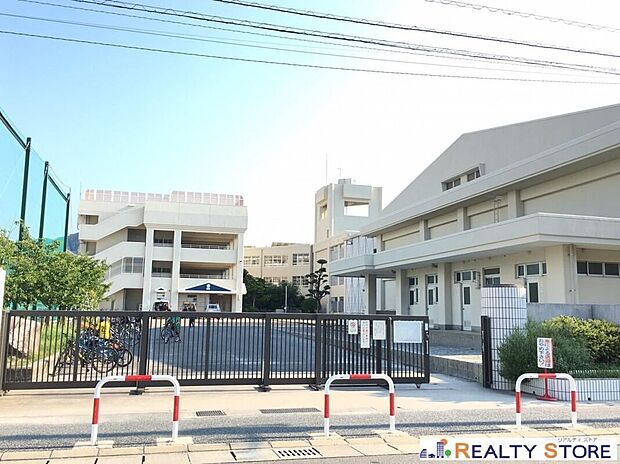 福岡市立玄洋小学校(約800m)