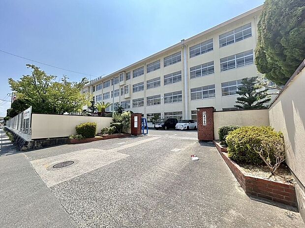 福岡市立片江小学校（約800m）