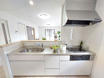 同仕様画像 (キッチン)