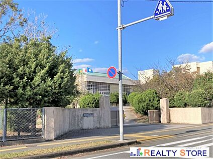 古賀市立千鳥小学校 520m