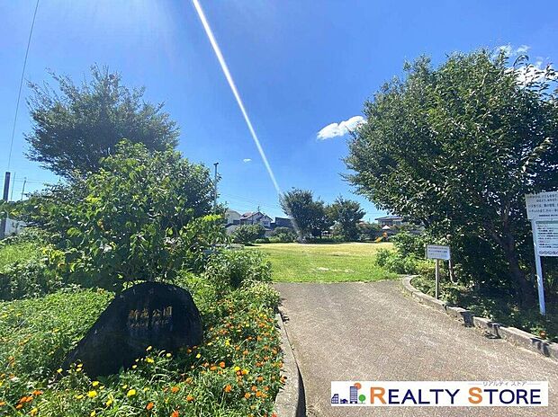 新成公園（約550m）