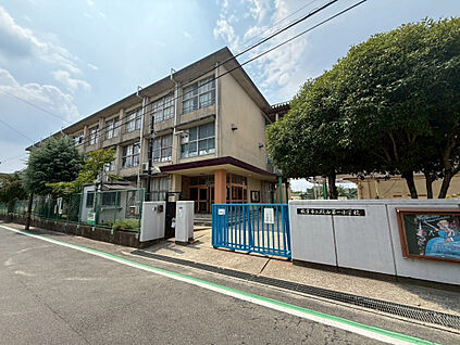 御殿山第一小学校 514m