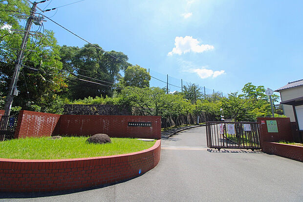 市立郡山中学校（約1,100m）