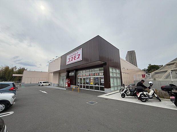 ドラッグストアコスモス菊丘店（約650m）