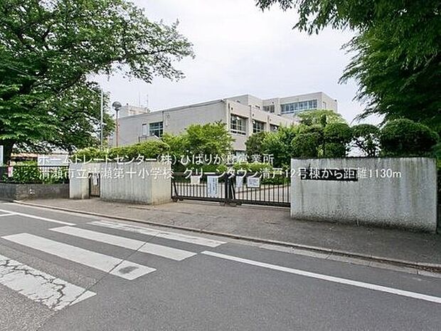 清瀬市立清瀬第十小学校(約800m)