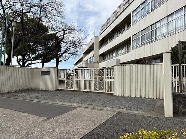 東久留米市立本村小学校（約750m）