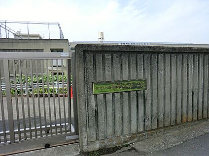 川崎市立西丸子小学校 879m(11分)