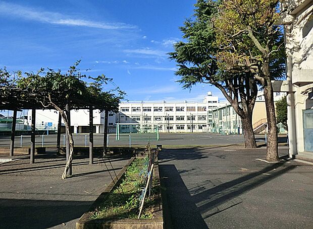 横浜市立南瀬谷小学校（約640m・徒歩8分）
