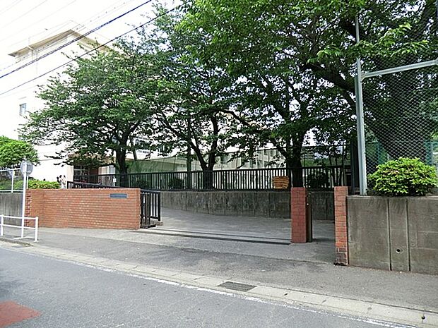 藤沢市立新林小学校(約1,000m・徒歩13分)