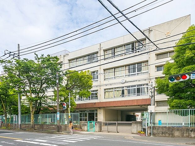 川崎市立野川小学校（約600m・徒歩8分）