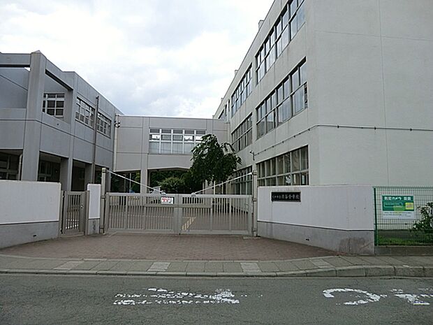 大和市立渋谷小学校（約1,200m・徒歩15分）
