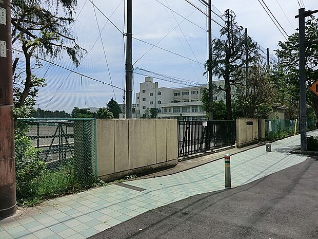 大和市立引地台中学校（約1,000m・徒歩13分）