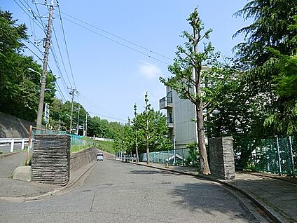 町田市立薬師中学校 1200m(15分)