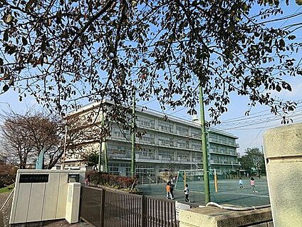 横浜市立平戸台小学校 800m(10分)