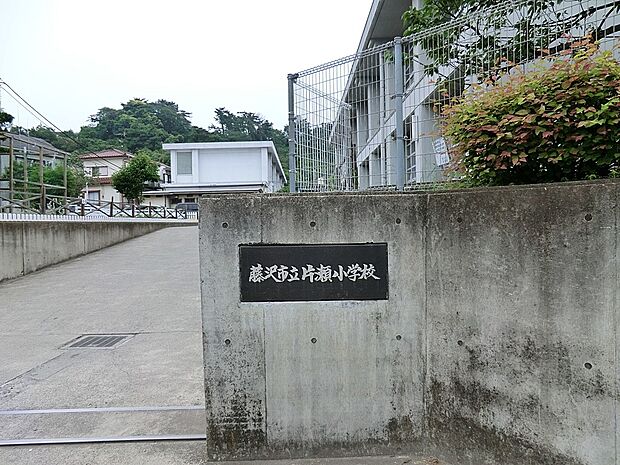 藤沢市片瀬小学校（約850m・徒歩11分）