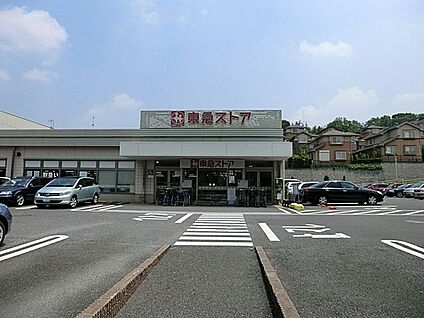 東急ストアたちばな台店 500m(7分)