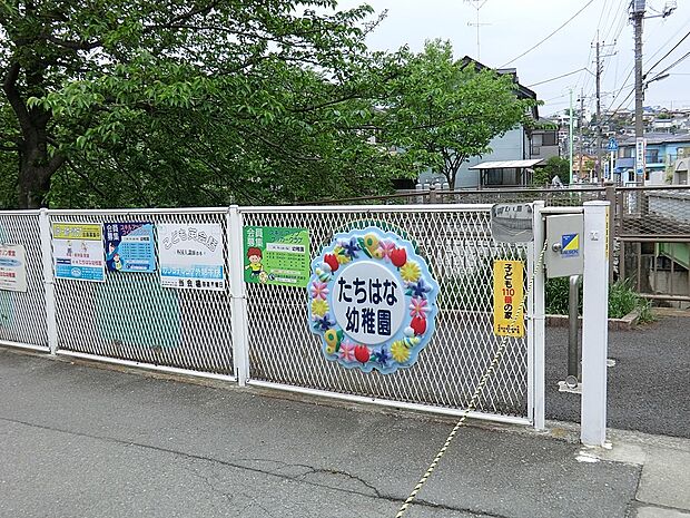 学校法人立華学園たちはな幼稚園(約900m・徒歩12分)