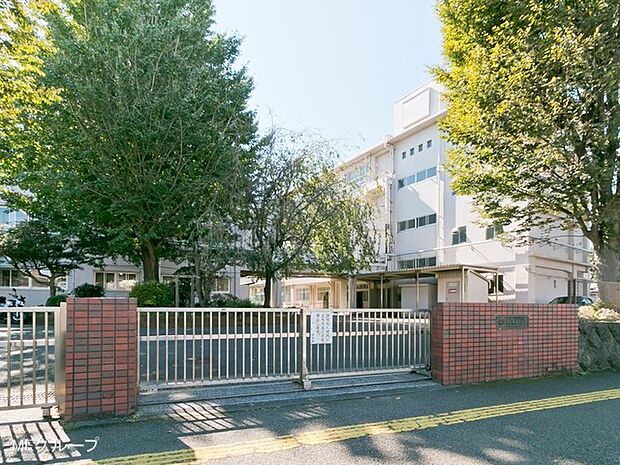 横浜市立瀬谷中学校(約772m・徒歩10分)