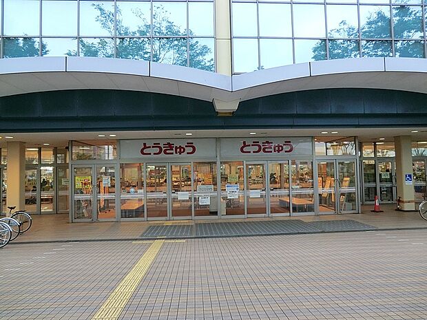 東急ストア湘南とうきゅう（約1,300m・徒歩17分）