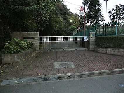 横浜市立大道中学校 1160m(15分)