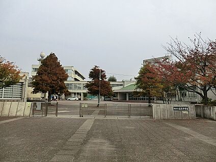 横浜市立並木中学校 1200m(15分)