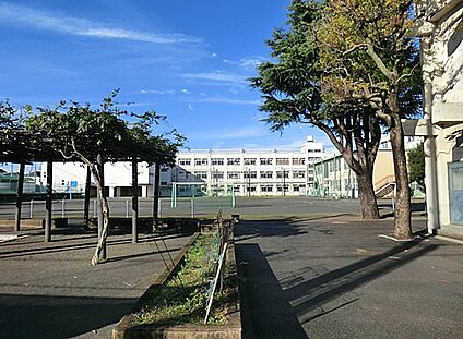 横浜市立南瀬谷小学校 600m(8分)