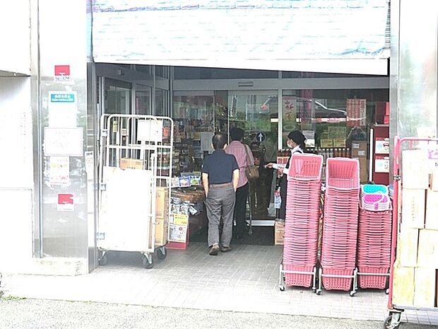 成城石井美しが丘店(約795m・徒歩10分)