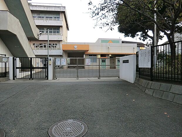 横浜市立高舟台小学校(約550m・徒歩7分)
