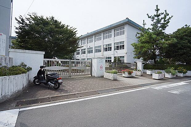 小田原市立富水小学校(約300m・徒歩4分)