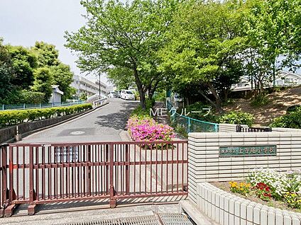 横浜市立上寺尾小学校 700m(9分)