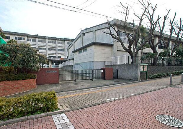 藤沢市立湘南台中学校(約960m・徒歩12分)