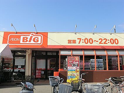 ザ・ビッグ 相模原西橋本店 240m(3分)