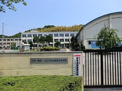 八王子市立加住中学校 1900m(24分)