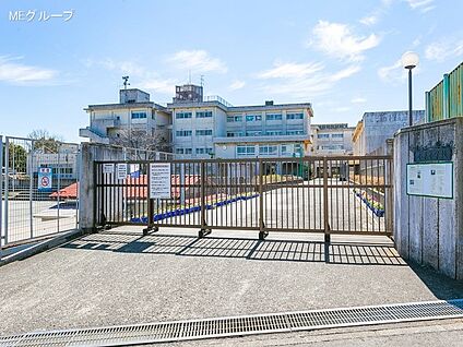 藤沢市立小糸小学校 900m(12分)
