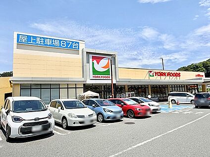 ヨークフーズ戸塚深谷町店 1600m(20分)
