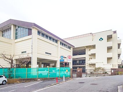 横浜市立森中学校 450m(6分)