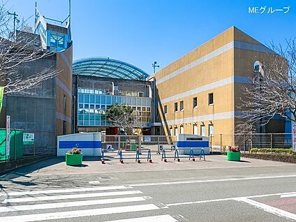 茅ヶ崎市立浜之郷小学校 1040m(13分)