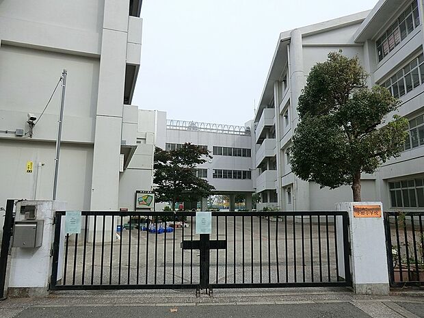 横浜市立小田小学校(約600m・徒歩8分)