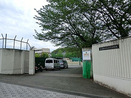 町田市立真光寺中学校 800m(10分)