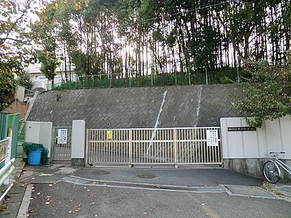 横浜市立平戸中学校 1000m(13分)