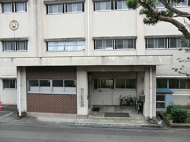 横浜市立富岡小学校(約800m・徒歩10分)