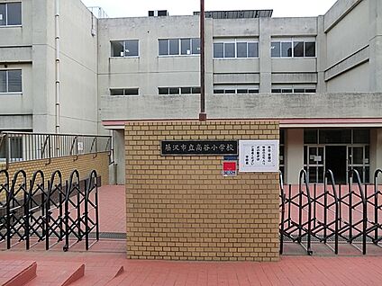 藤沢市立高谷小学校 1100m(14分)