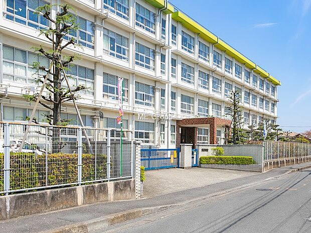 平塚市立山下小学校(約847m・徒歩11分)