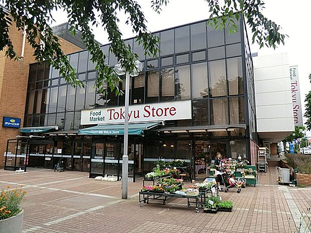 東急ストア つくし野店（約850m・徒歩11分）