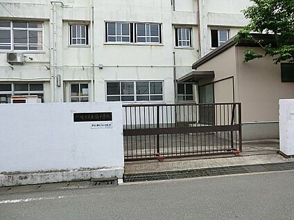 川崎市立東橘中学校 800m(10分)