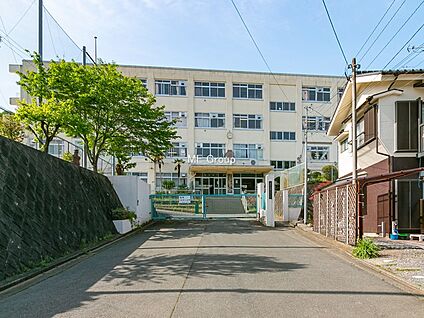 八王子市立恩方第一小学校 1500m(19分)