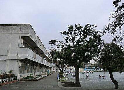 横浜市立二つ橋小学校 450m(6分)